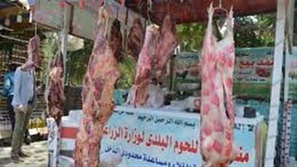 من خير مزارعنا لأهالينا.. الزراعة تطرح لحوم ضانى بـ320 جنيهًا للكيلو يومياً