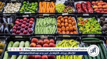 أسعار الخضروات اليوم السبت 6-7-2024 في المنيا