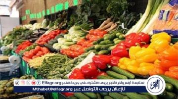 أسعار الخضروات والفاكهة اليوم الجمعة 5-7-2024 بأسواق الدقهلية