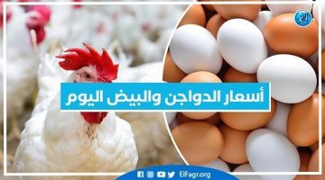 أسعار الدواجن اليوم الجمعة 5-7-2024 في الدقهلية