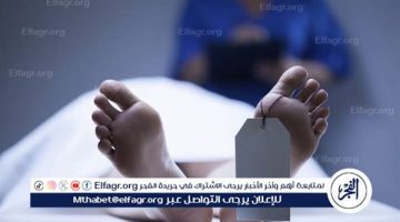 ” خدت فلوس من وراه “..مصرع ربه منزل على يد زوجها بسوهاج