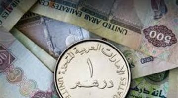 سعر الدرهم الإماراتي مقابل الجنيه اليوم الجمعة 5-7-2024