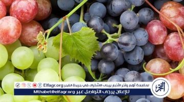 مشروب صحي ومنعش يمتدحه الجميع