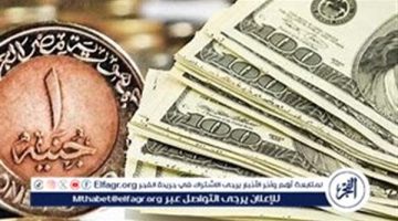 استقرار سعر الدولار مقابل الجنيه المصري اليوم الخميس 29 أغسطس 2024