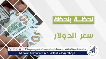 آخر تحديثات أسعار الدولار اليوم الجمعة 29 أغسطس 2024