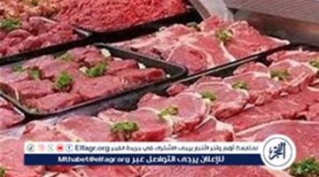 أسعار اللحوم البلدي والكندوز اليوم الأربعاء 28-8-2024 بقنا