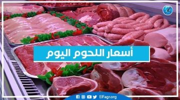 أسعار اللحوم اليوم الأربعاء 28-8-2024 في الأسواق ومحال الجزارة بقنا