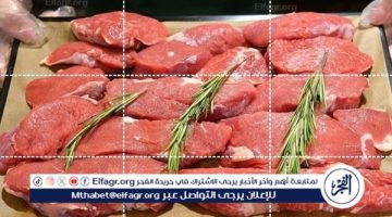 أسعار اللحوم اليوم الخميس 29-8-2024 في المنيا