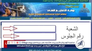 “ادخل واستعلم الآن”.. رابط نتيجة ملاحق الدبلومات الفنية 2024 عبر بوابة التعليم الفني برقم الجلوس