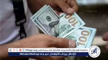 استقرار سعر الدولار مقابل الجنيه المصري قبيل اجتماع البنك المركزي