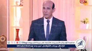 الاستخدام السيئ لمواقع التواصل لا يمت لأصالة المجتمع المصري