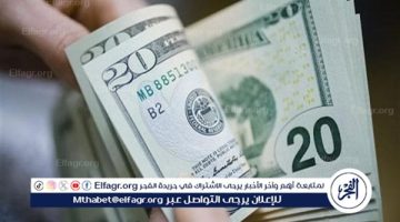 بكام انهاردة؟.. سعر الدولار مقابل الجنيه المصري اليوم الثلاثاء 27 أغسطس 2024