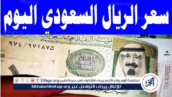 تباين أسعار الريال السعودي مقابل الجنيه المصري وتفاصيل أخرى