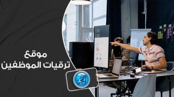 درجة واحدة فقط.. ضوابط ترقيات الموظفين بعد قرار الحكومة اليوم