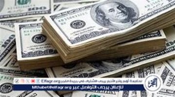 سعر الدولار مقابل الجنيه المصري اليوم الثلاثاء 27 أغسطس 2024