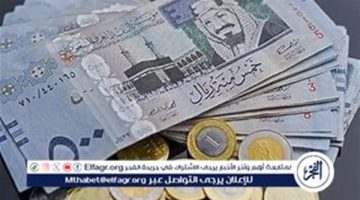 سعر الريال السعودي أمام الجنيه المصري بختام تعاملات الأسبوع الخميس 29-8-2024