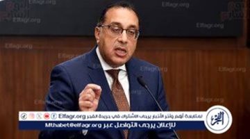 عاجل| مجلس الوزراء يوافق على مشروع قرار بترقية الموظفين بالجهاز الإداري للدولة