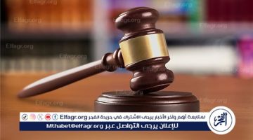 للنصب على المواطنين.. استمرار حبس المتهمين بتزوير محررات رسمية في القاهرة