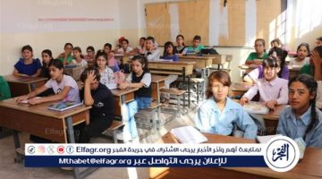 ما أهمية تدريس اللغة العربية والتاريخ في المدارس الدولية؟.. أستاذ جامعي يوضح