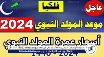 “يا حبيب المصطفى.. سافر لأرض الحبيب”.. أسعار عمرة المولد النبوي 2024 لهذه الفئات فقط