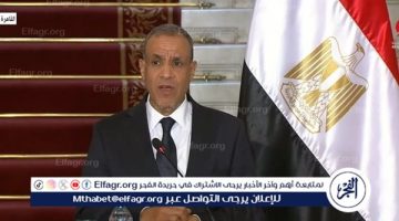 وزير الخارجية يلتقي مع بعض رموز الجالية المصرية في الولايات المتحدة