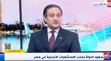 كاتب صحفي: الدولة تبذل جهودا لتوطين الصناعة والإنتاج