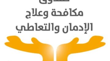 تدريب ٢٠٠ قيادة تنفيذية وتطوعية بالأقصر ضمن مبادرة موجهي الرأي للوقاية من تعاطي المخدرات