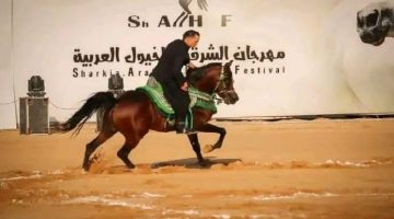 إعلان جوائز الفائزين فى مسابقة تراث أدب الخيل بمهرجان الشرقية للخيول العربية