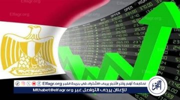 أستاذ طاقة: الاقتصاد المصري يتميز بالتنوع