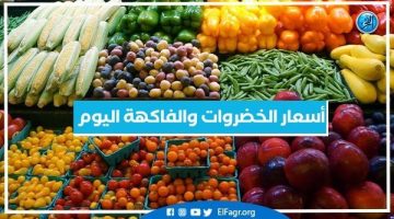 أسعار الخضروات والفاكهة اليوم الأربعاء 25-9-2024 في أسواق محافظة البحيرة