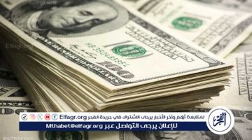 ارتفاع طفيف في سعر الدولار أمام الجنيه المصري: 13 سبتمبر 2024