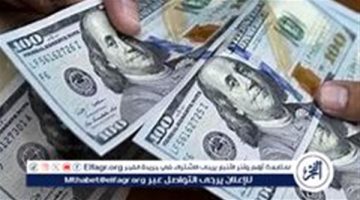 استقرار سعر الدولار مقابل الجنيه المصري في 14 سبتمبر 2024