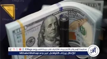 استقرار نسبي في أسعار الدولار مقابل الجنيه المصري: تحليل ومقارنة في البنوك