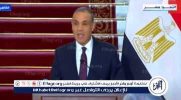 الجهد المصري مع قطر والولايات المتحدة لن يتوقف ونعمل على حقن دماء الفلسطينيين