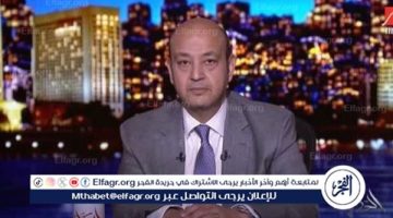 الوضع في غزة مأساة لا تنتهي