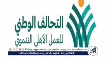 تعرف على دعم قانون العمل الأهلي مشروعات المبادرات الاجتماعية التنموية