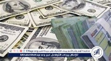 سعر الدرهم الإماراتي والعملات العربية اليوم الأربعاء 25-9-2024 في البنك المركزي المصري