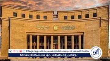 سعر الدولار أمام الجنيه المصري قبل اجتماع البنك المركزي اليوم لبحث أسعار الفائدة «اعرف وصل لكام»