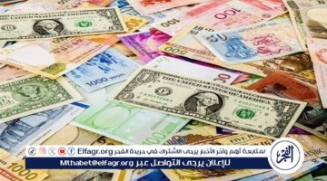 سعر اليورو الأوروبي مقابل الجنيه المصري في تعاملات اليوم الجمعة 13-9-2024