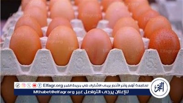 سعر كرتونة البيض اليوم الأحد.. آخر الآسعار