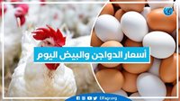 عاجل – "ارتفاع ملحوظ" أسعار الدواجن اليوم الجمعة