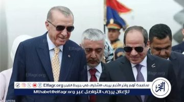 لقاء السيسي وأردوغان “تجمع العقلاء” لحل أزمات الإقليم