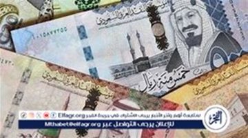 مباشر الآن.. سعر الريال السعودي مقابل الجنيه المصري.. بعد قرارات البنك المركزي