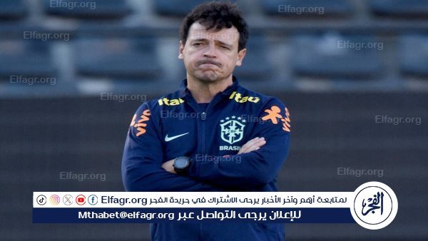 مدرب البرازيل السابق دينيز يتولى الإشراف على كروزيرو