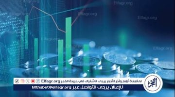 مصر قدمت صورة متكاملة في مجال تكنولوجيا المعلومات