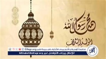 هل الاحتفال بالمولد النبوى عبادة وطاعة تقرب إلى الله؟.. دار الإفتاء تجيب